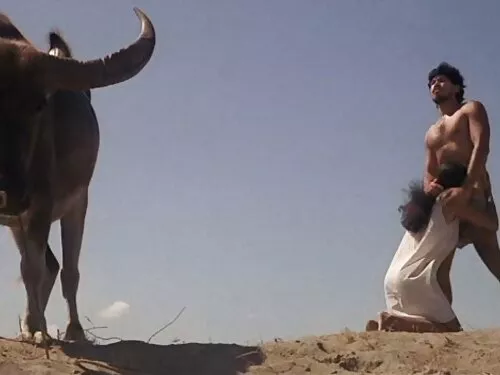 وجه اللعنة المشهد مع ...