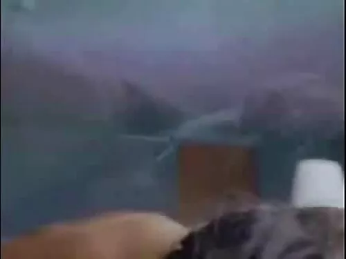 مزدوج الجنس اللسان م ...