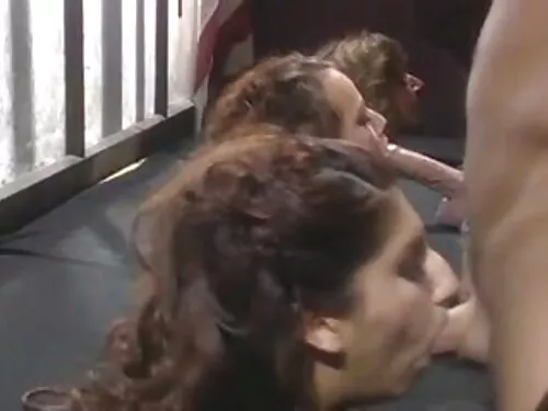 فيديو فيديوهات سكس ا ...