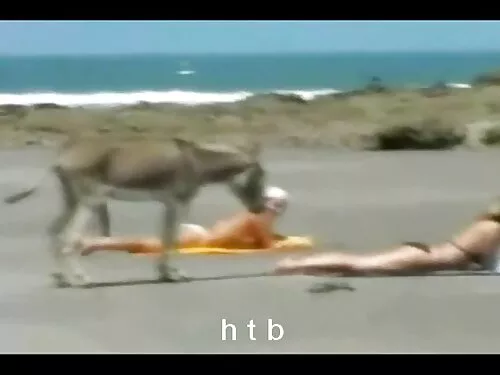 عمل Doggystyle مع عا ...