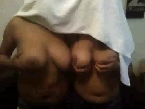 فرقعة راعية البقر ال ...